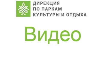 Парк 